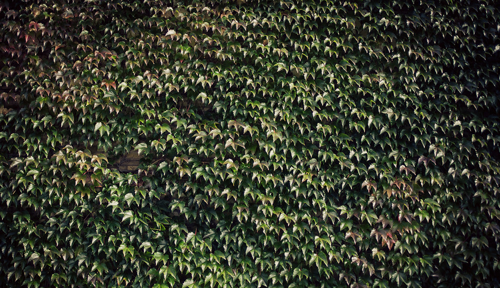 Peter+Jenny_2011-10-01_OskarAllerby (5)